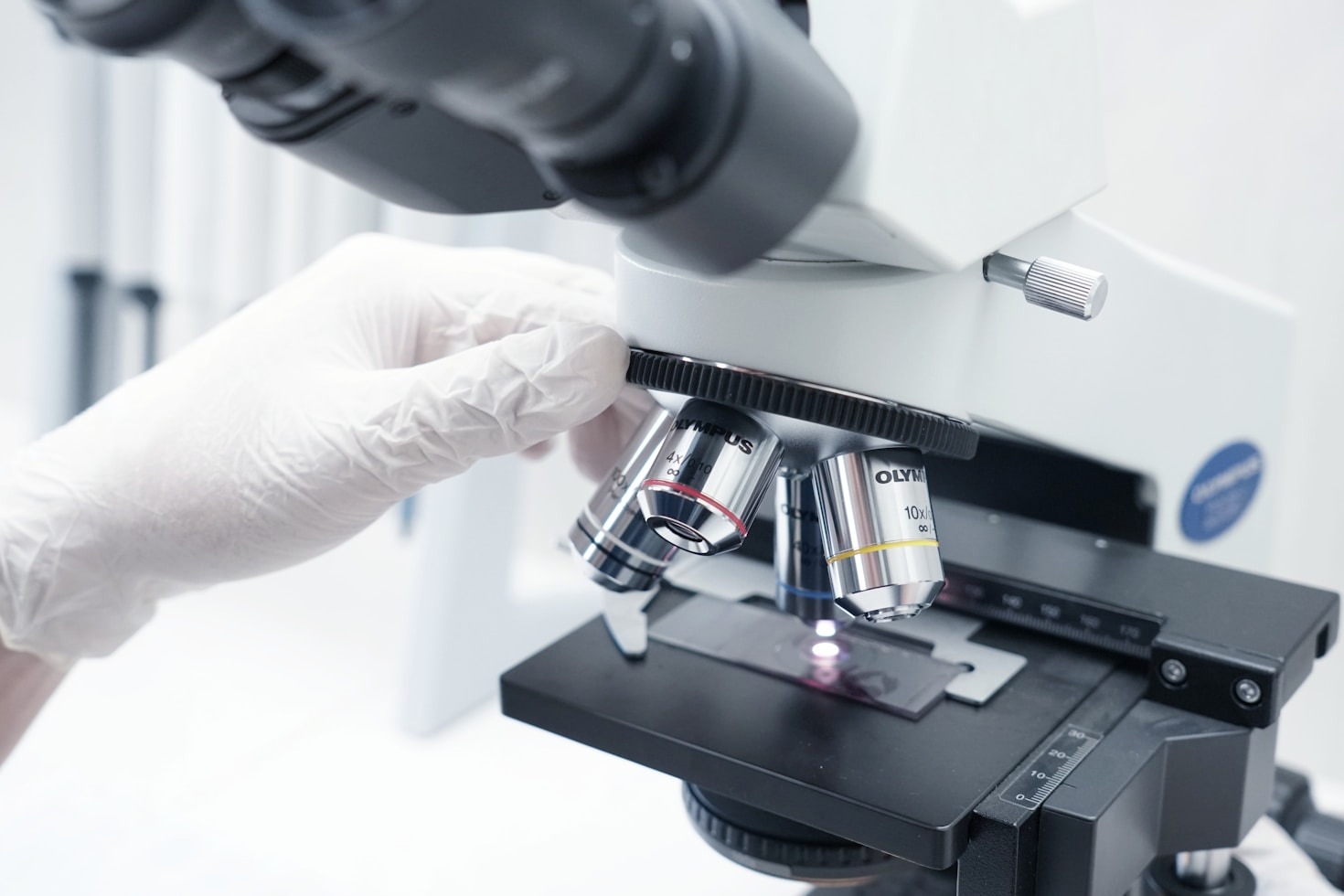 Combating Obesity Through Biotechnology Breakthroughs