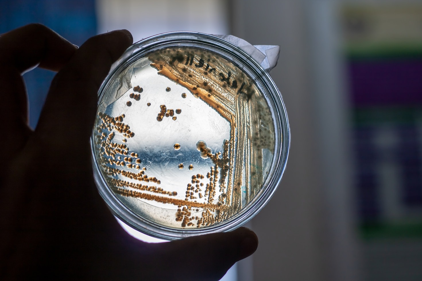 Pioneering Approaches to Treat Obesity-Related Diseases
